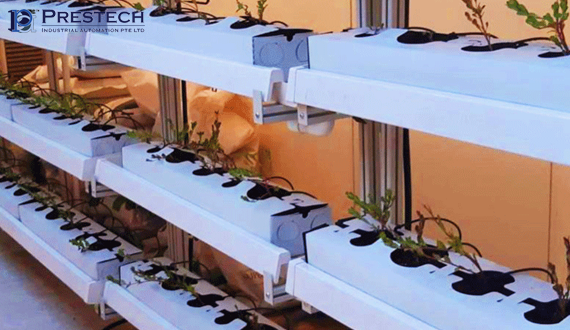 hydroponic-structure Prestech Industrial | Machine Building Systems